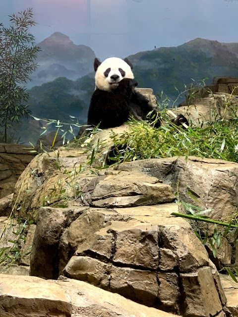 Smithsonian National Zoological Park